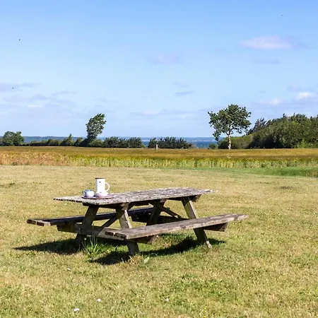 Amazing In With Wifi *